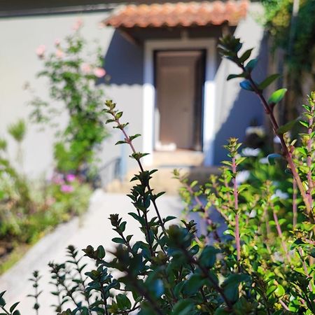 Casa 1883 Villa Cevide Dış mekan fotoğraf